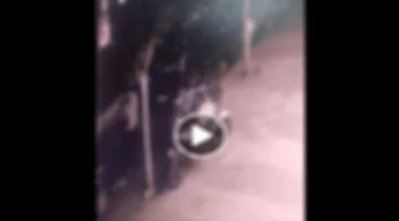 سرقة هاتف طالبة بالإسكندرية.. كشف الداخلية الملابسات الكاملة